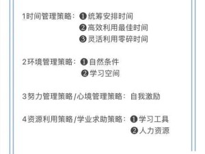 职业对比全攻略，三大职业选择详解及其在资源管理的高效应用