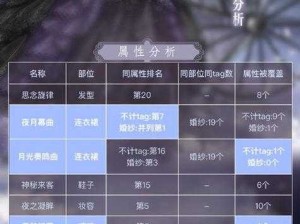 奇迹暖暖深度揭秘，解锁衣柜奥秘与属性整理图表全览