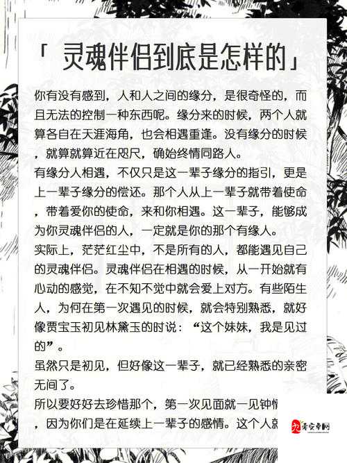 九龙战职业大揭秘，哪个才是你的战场灵魂伴侣？